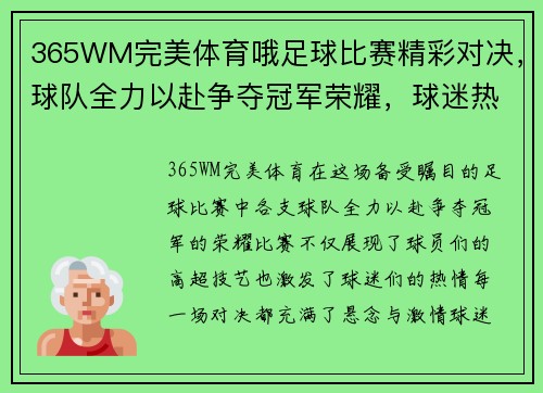 365WM完美体育哦足球比赛精彩对决，球队全力以赴争夺冠军荣耀，球迷热情高涨！